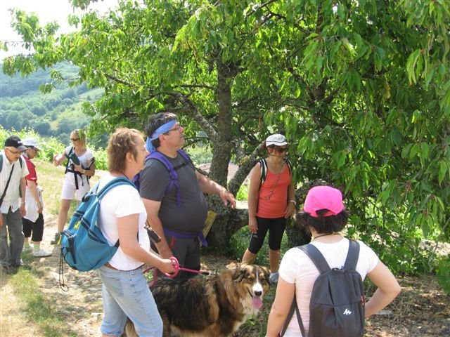 Entre Monts et Vignoble Beaujolais, balade avec un guide de pays !